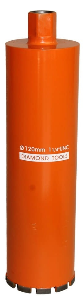 Carota Bisonte BT2000548