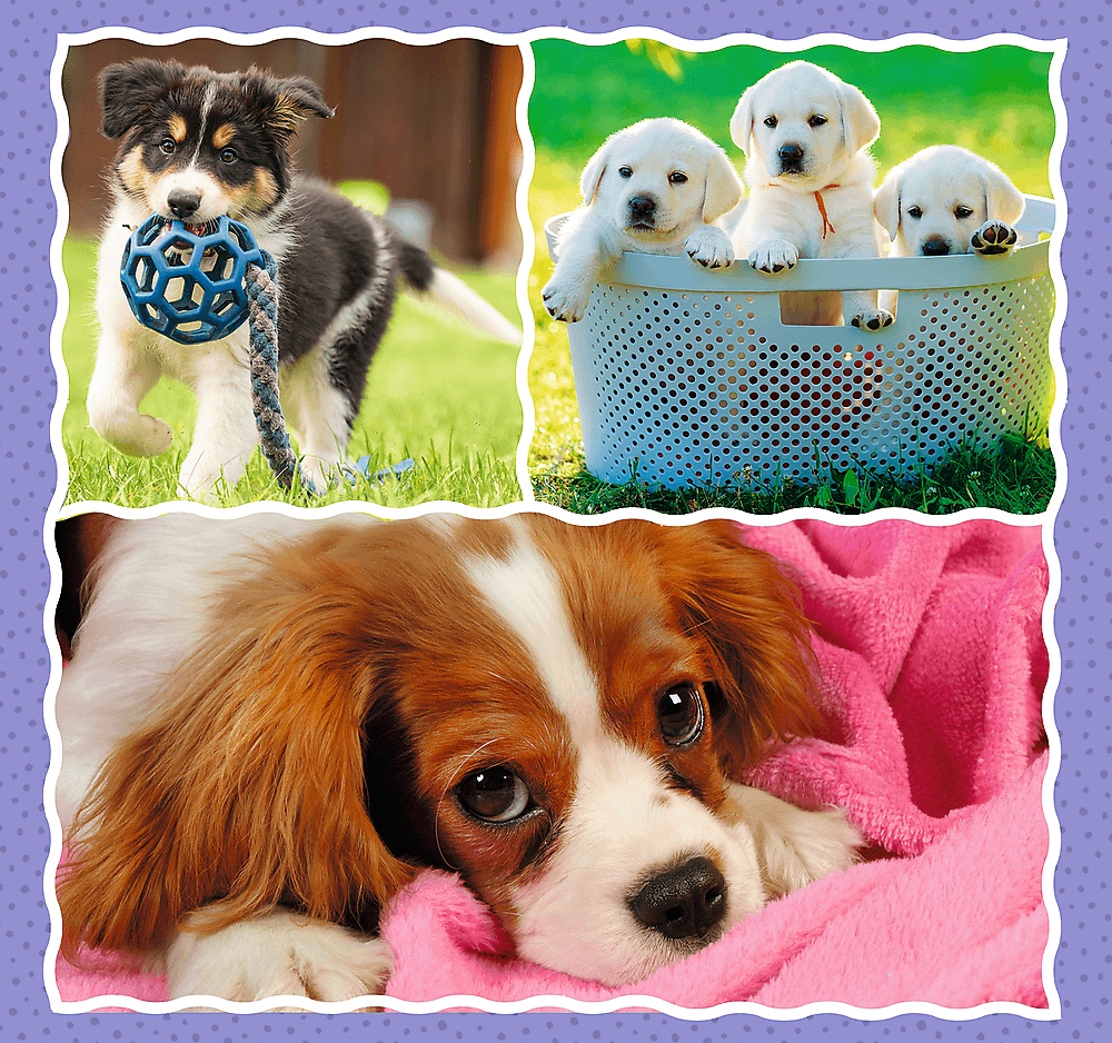 Puzzle Trefl 3in1 Lovely dogs (34854)