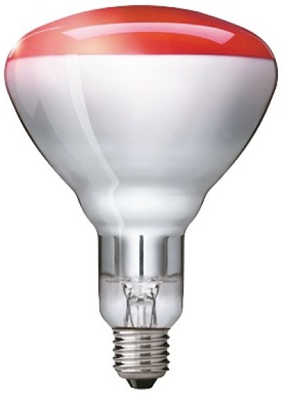Bec Philips BR125 250 (8711500575210)