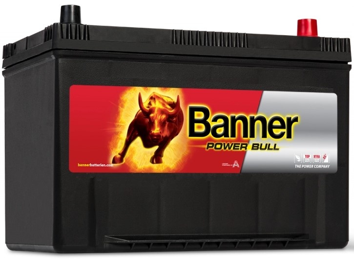 Автомобильный аккумулятор Banner Power Bull P95 04