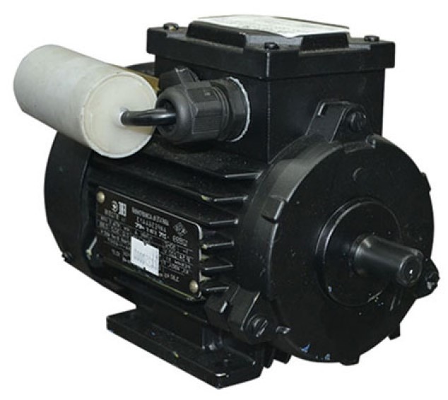 Motor electric Mogilevsk AIRE 56 A 3000 (10807211)