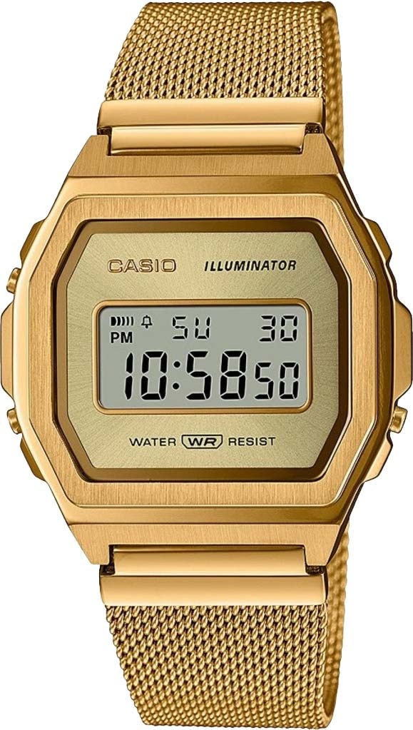 Наручные часы Casio A1000MG-9