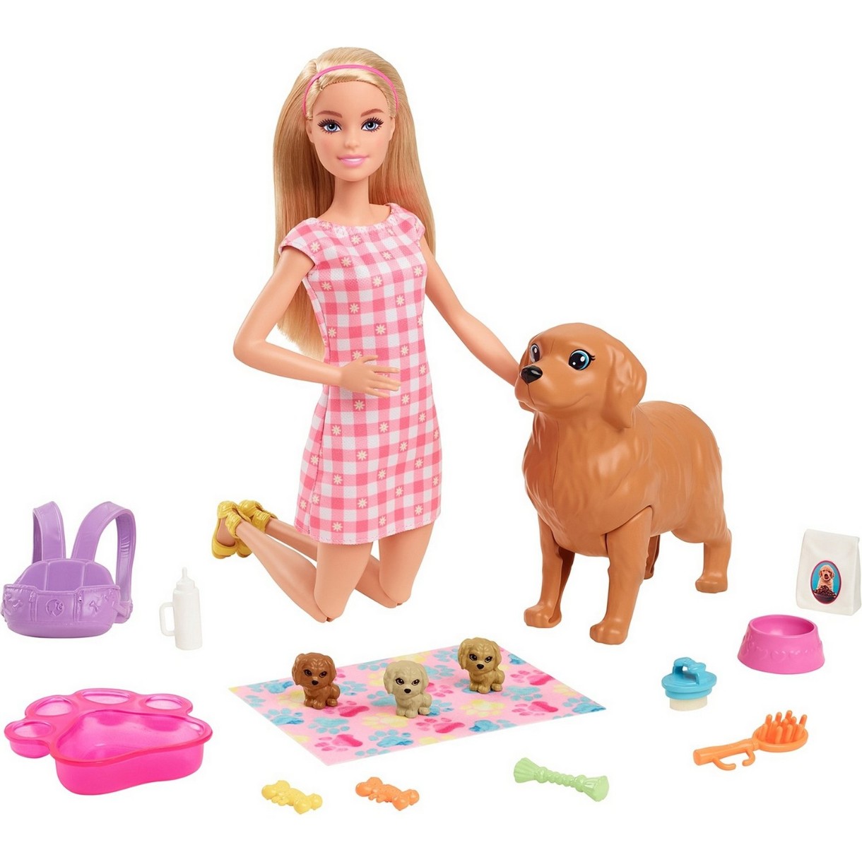 Păpușa Barbie (HCK75)