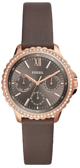 Наручные часы Fossil ES4889