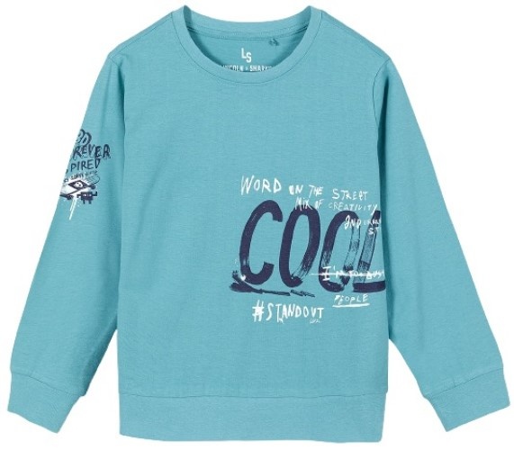 Детская толстовка Lincoln & Sharks 2H4202 Turquoise 152cm