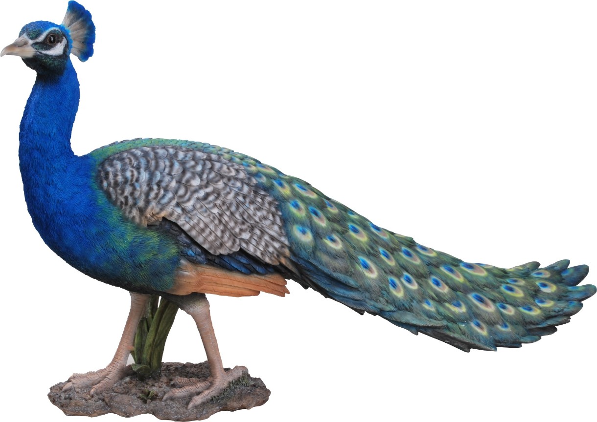 Садовая фигура Figuren Discounter Peacock (11169)
