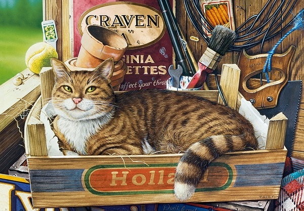 Puzzle Castorland 500 Fothergill (В-53476)