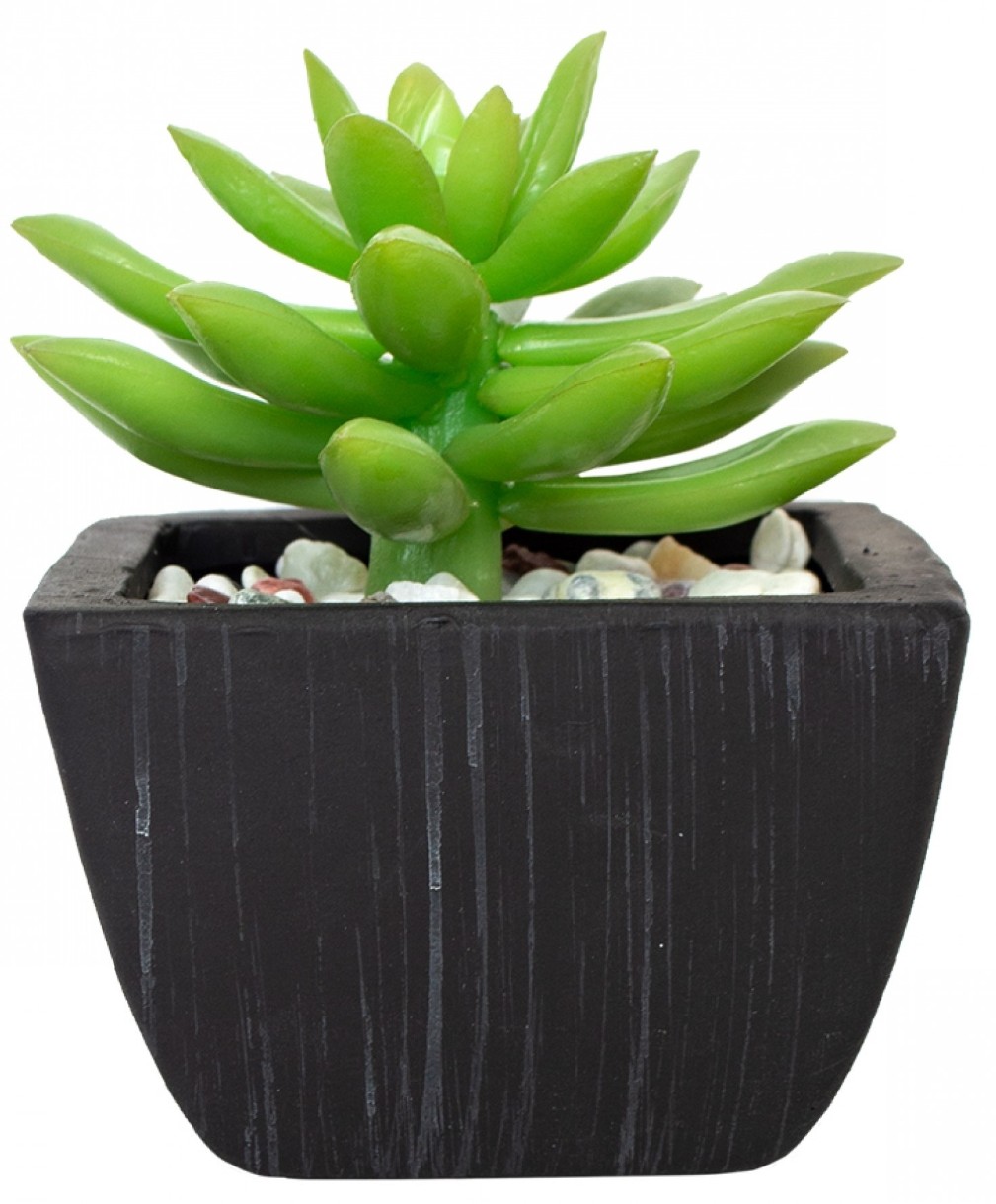 Декоративный цветок Casa Masa Sedum 10x12cm (8923680500)