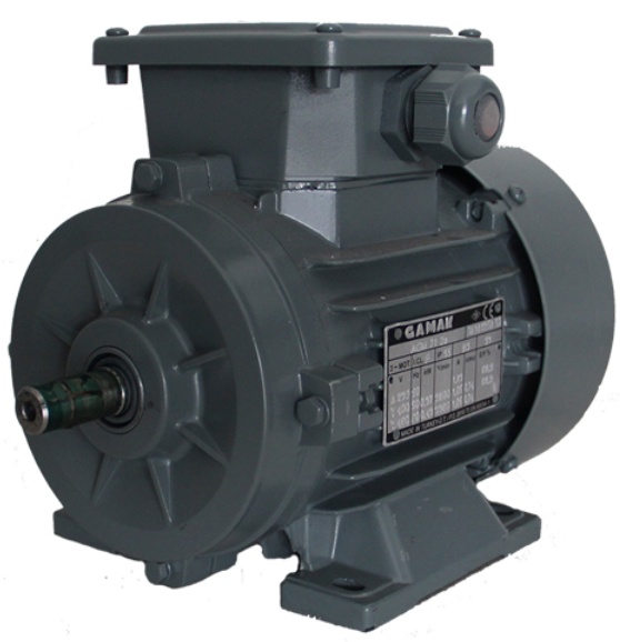 Motor electric GAMAK AGM 200 (G1851003)