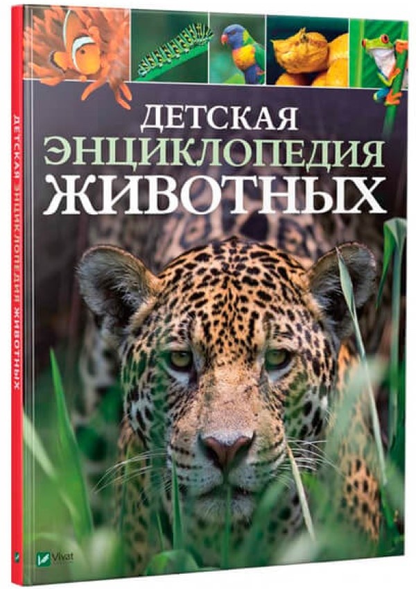 Книга Детская энциклопедия животных (9789669425768)