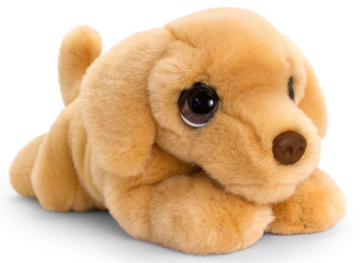 Jucărie de pluș Keel-Toys Cuddle Puppy Labrador 37cm (SD2527)