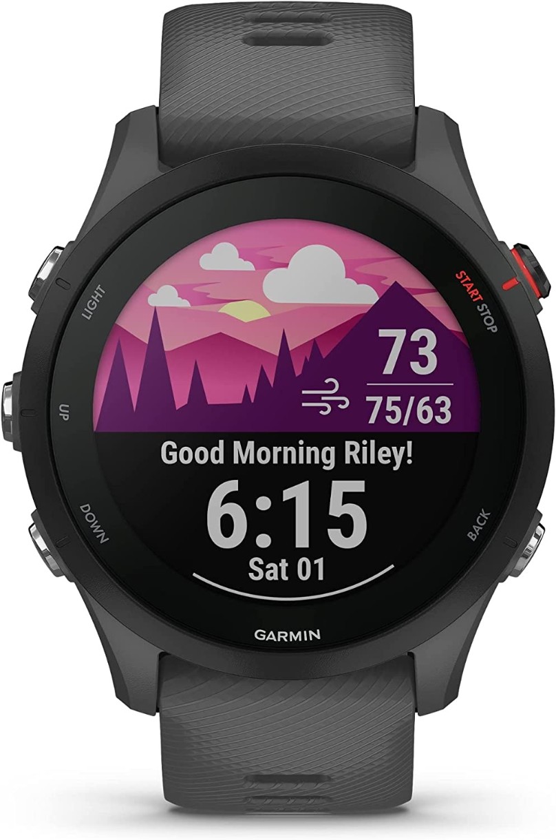 Smartwatch Garmin Forerunner 255 Slate Grey (010-02641-10)