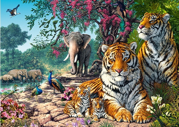 Puzzle Castorland 300 Tiger Sanctuary (B-030484)