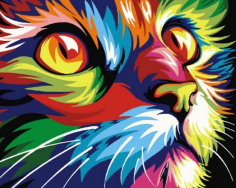 Tablou pe numere PRC Pisica Colorată 40x50cm 03680