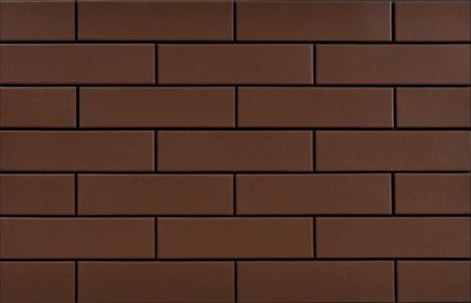 Gresie Cerrad Braz 24.5x6.5cm (Wall Tiles)