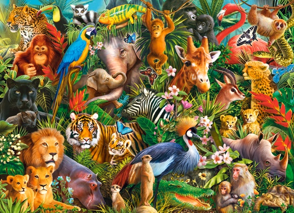 Puzzle Castorland 300 Amazing Animals (B-030491)