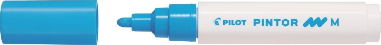 Маркеры Pilot SW-PT-M-LB 3pcs