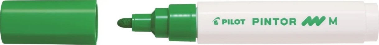 Маркеры Pilot SW-PT-M-LG 3pcs