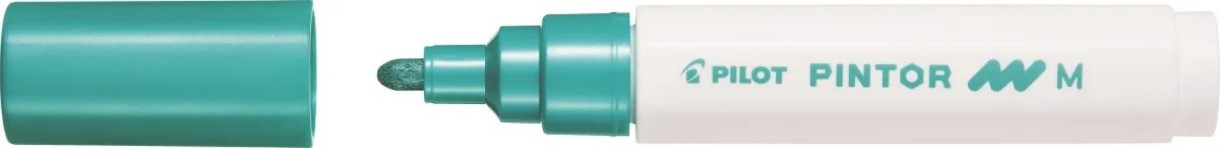 Маркеры Pilot SW-PT-M-MG 3pcs