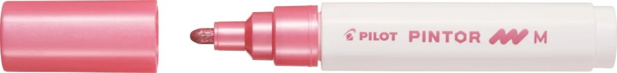 Маркеры Pilot SW-PT-M-MP 3pcs