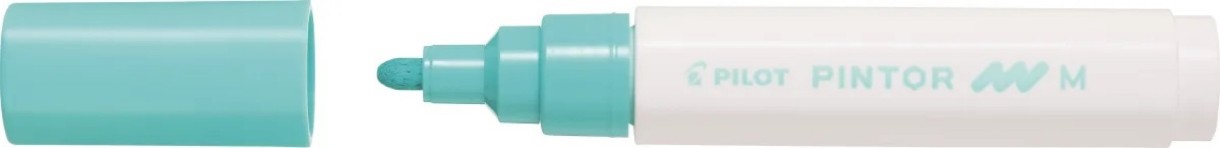 Маркеры Pilot SW-PT-M-PG 3pcs