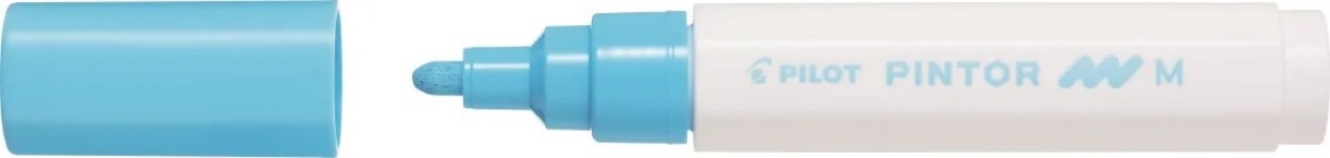 Маркеры Pilot SW-PT-M-PL 3pcs