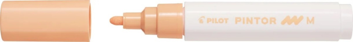 Маркеры Pilot SW-PT-M-PO 3pcs