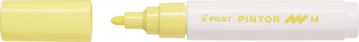 Маркеры Pilot SW-PT-M-PY 3pcs