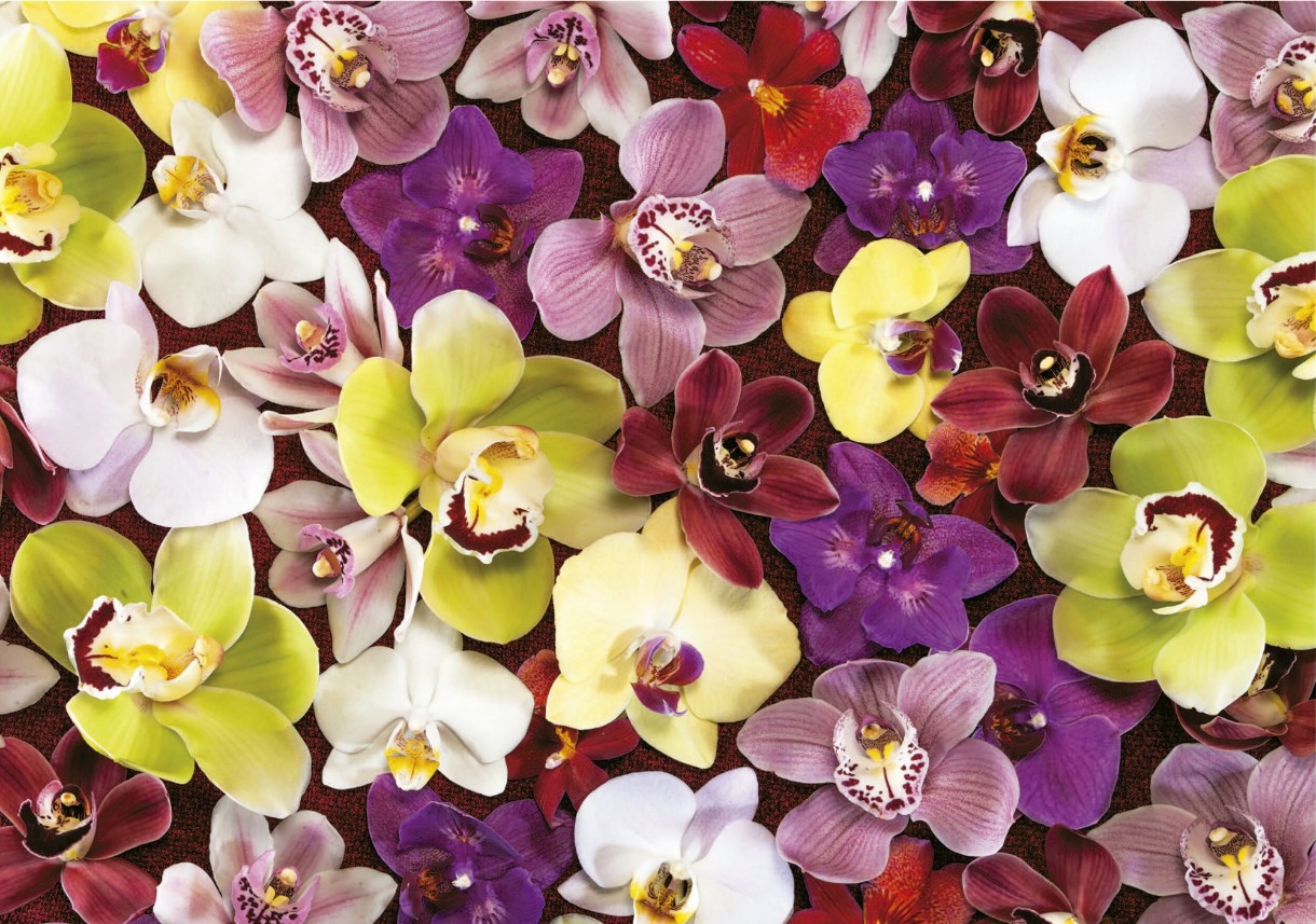 Puzzle Educa 1000 Orchid Collage (19558)