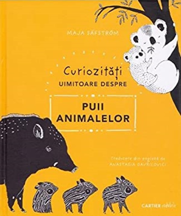 Книга Curiozități uimitoare despre puii animalelor (9789975864305)