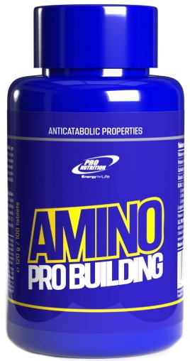 Аминокислоты ProNutrition Amino Pro Building 100tab