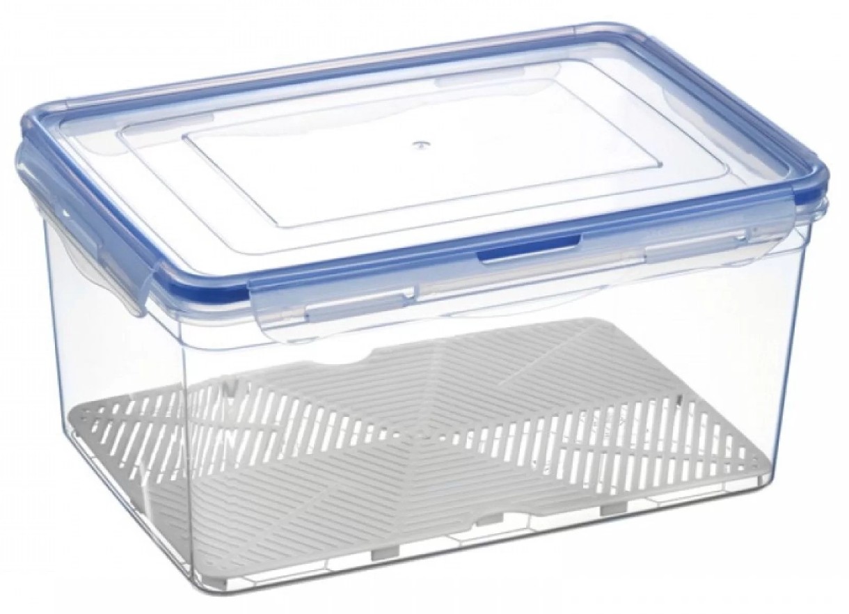 Container pentru mâncare Bursev Transparent/Smoke 30.5x23x19.5cm 1146.09