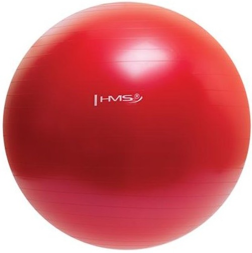 Фитбол HMS YB01 65cm Red