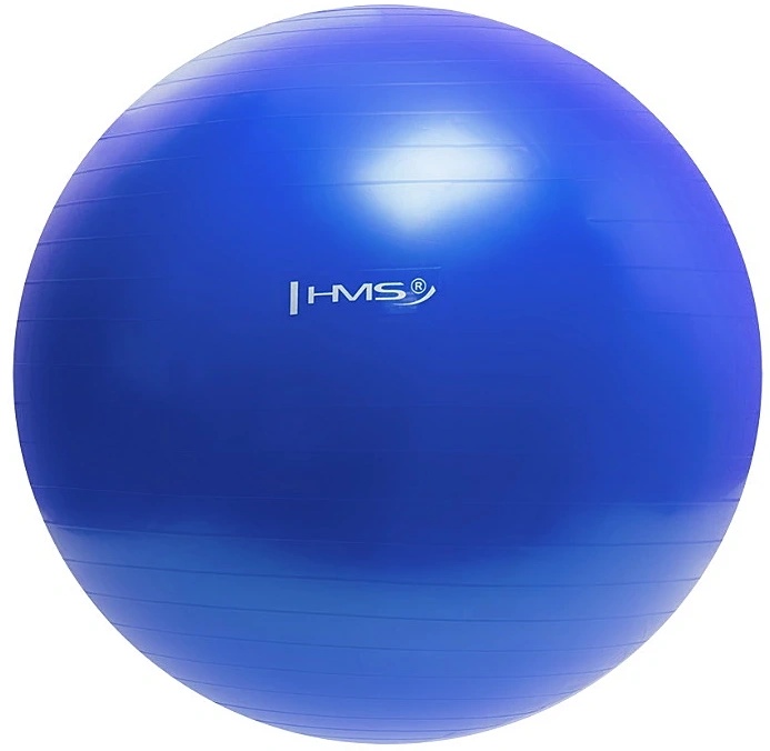 Fitball HMS YB01 55cm Blue