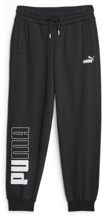 Женские спортивные штаны Puma Power Colorblock Sweatpants Fl Puma Black M