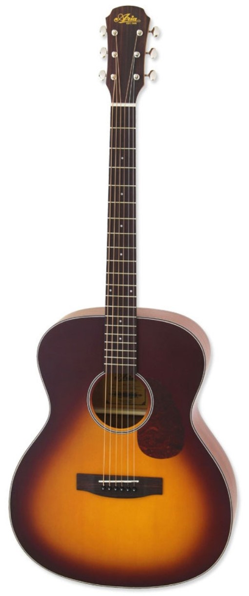 Акустическая гитара Aria 101 MTTS