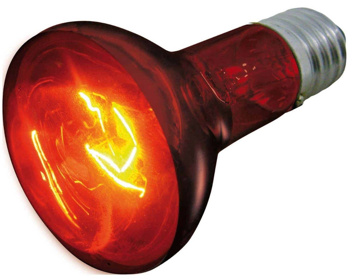 Инфракрасная лампа Flamingo Infrared Spot Beam 50W (405733), купить по ...