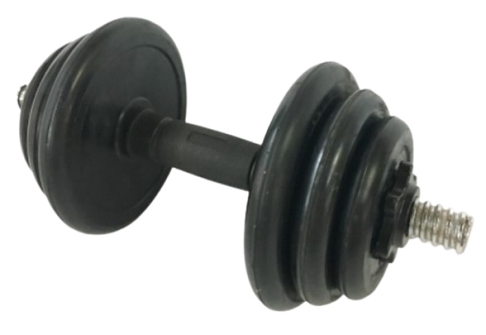Гантель 4Play Power 2x7.5 kg - купить по цене 749 лей с доставкой по ...