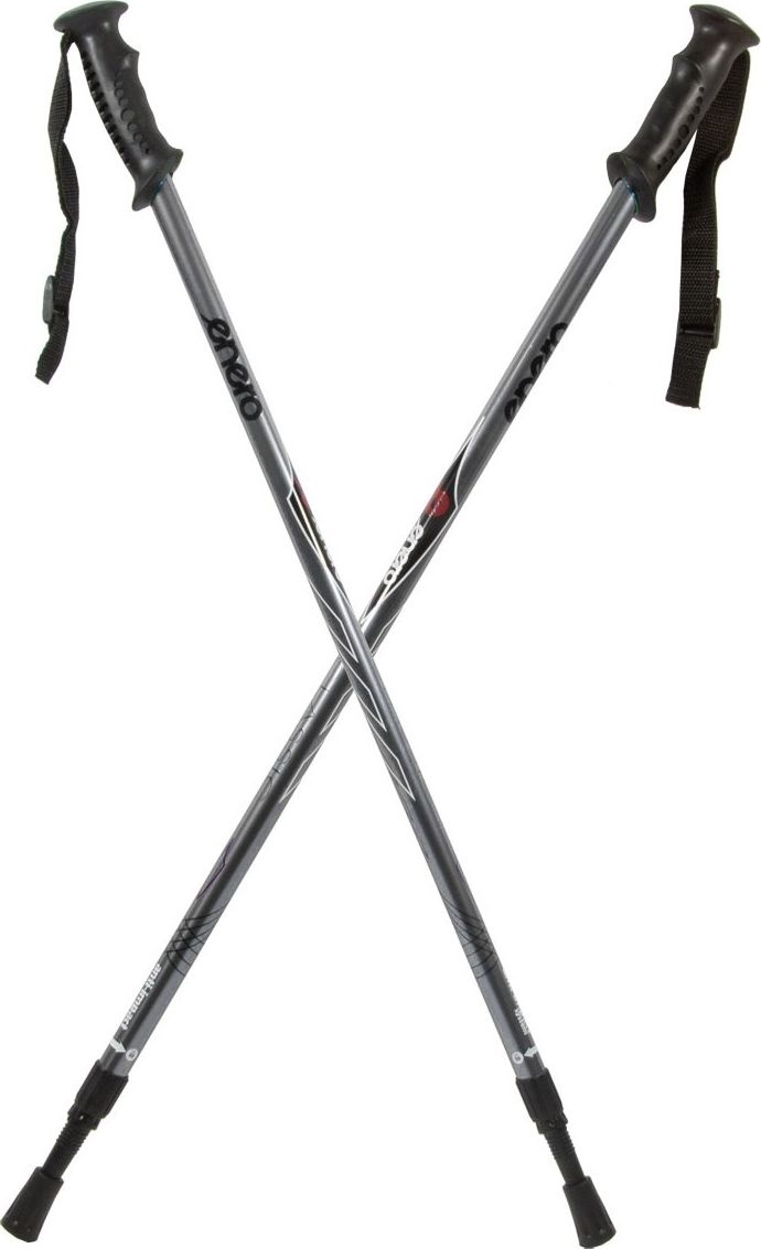Bețe de trekking Enero Classic Silver