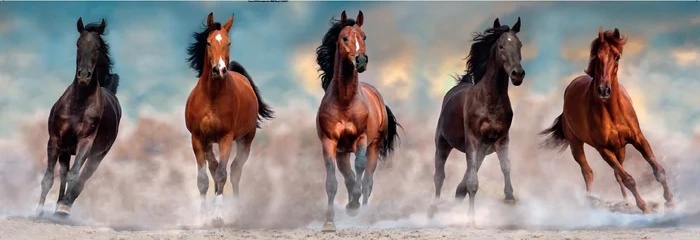 Пазл Clementoni 1000 Horses (39607)