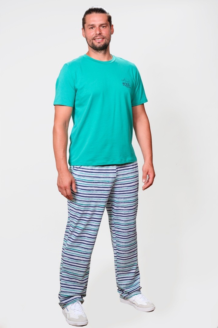 Pijama pentru bărbați Ajoure T78012 Green/Print Stripes 2XL