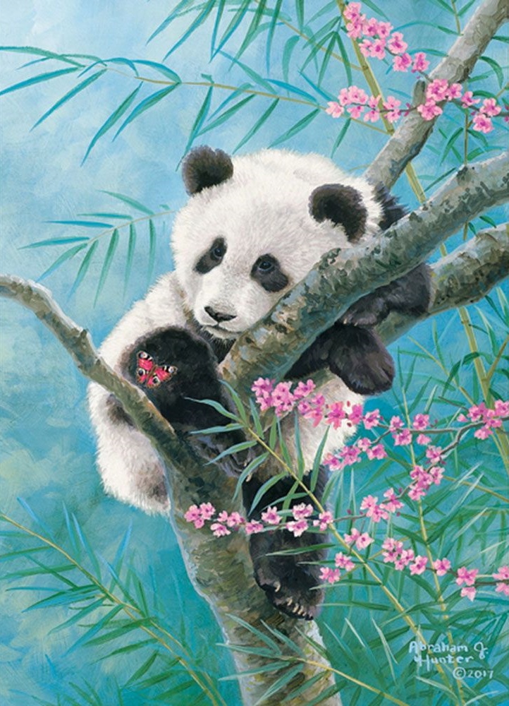 Пазл Castorland Midi 70 Bamboo Dreams (B-070183)