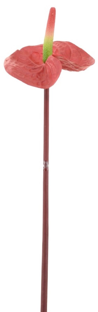 Floare decorativă Casa Masa Anthurium 64cm Red (L21281/RD)