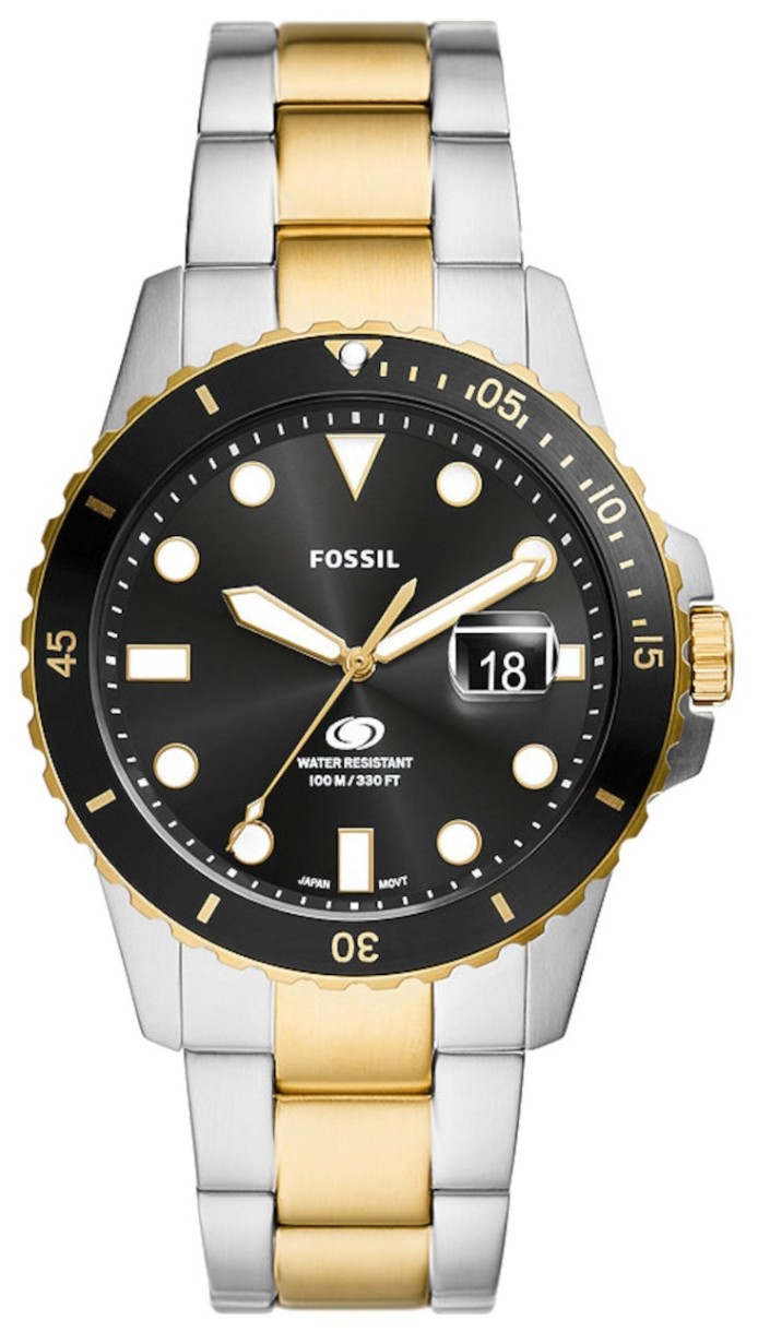 Наручные часы Fossil FS6031