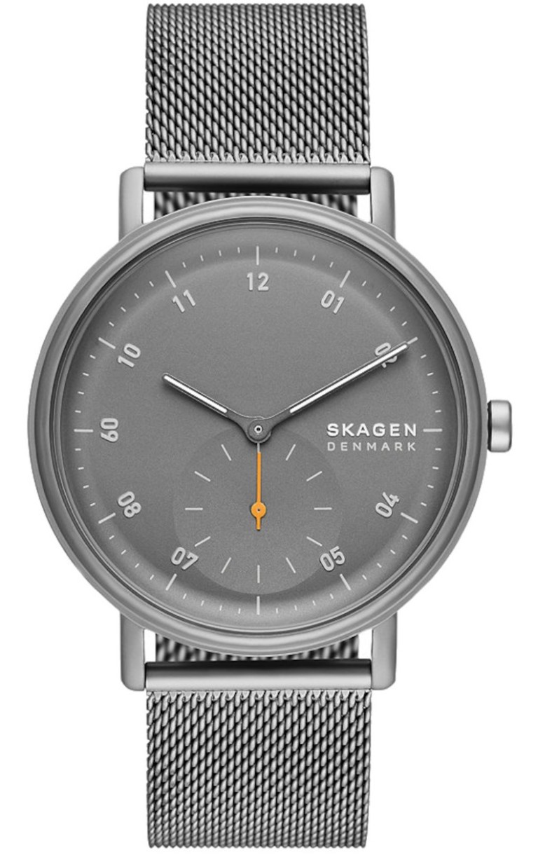 Наручные часы Skagen SKW6891