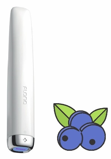 Электронная сигарета Flonq Plus E 600 Blueberry