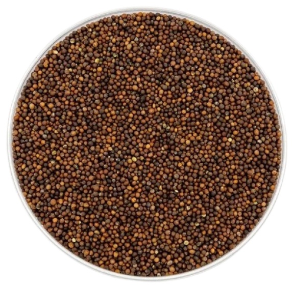 Semințe de varză Keil Microgreenz 500gr