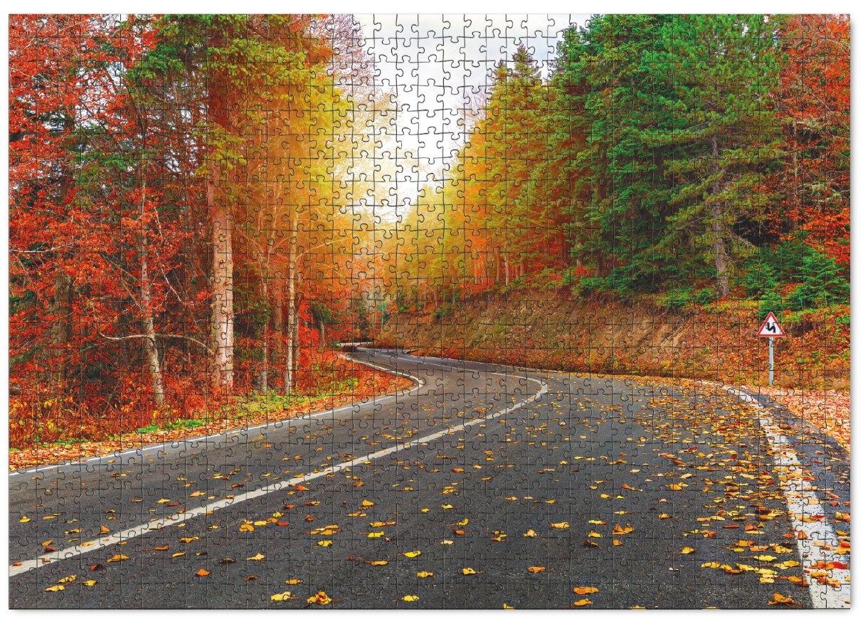 Puzzle Dodo 1000 Autumn forest Türkiye (301175)