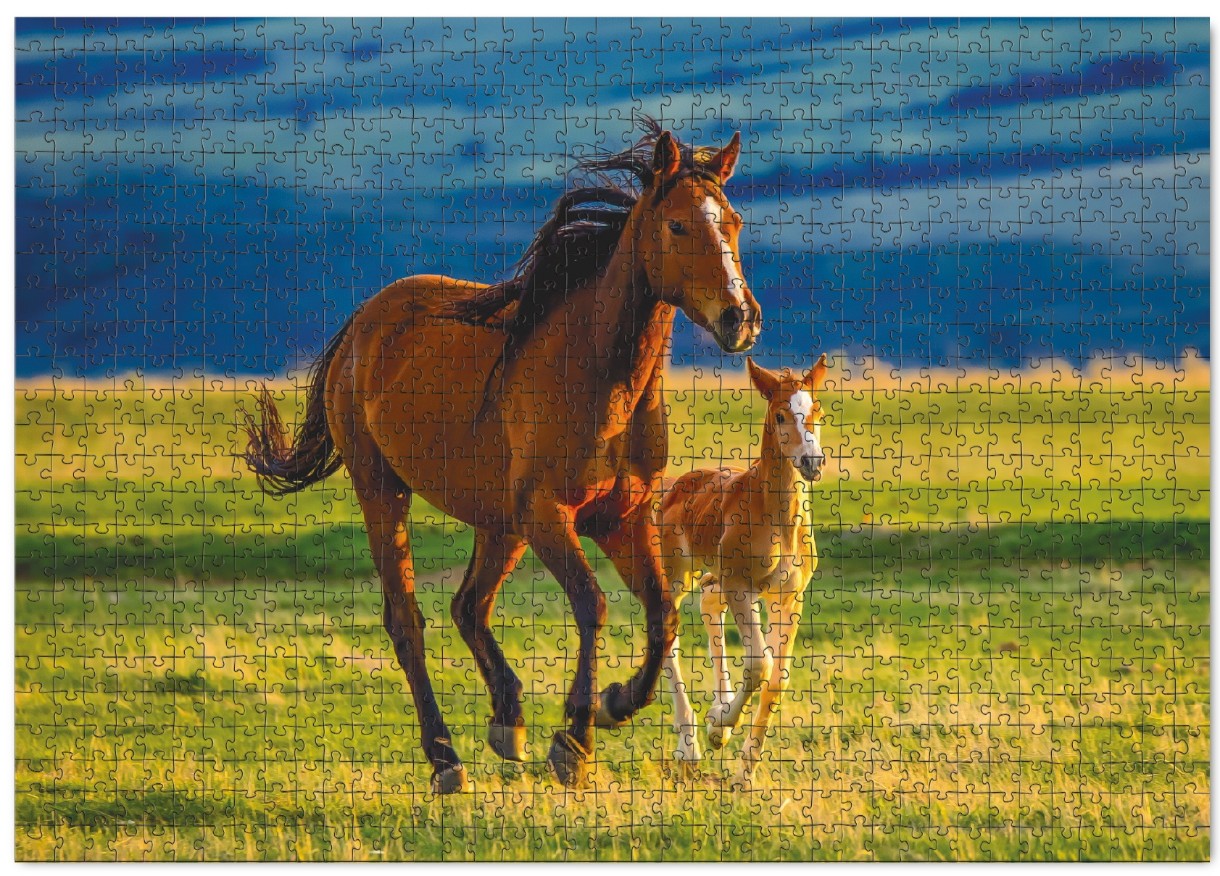 Пазл Dodo 1000 Raising a little horse (301176)