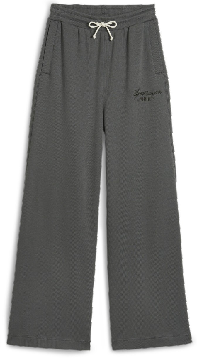 Pantaloni spotivi de dame Puma Classics+ Relaxed Sweatpants Mineral Gray XS